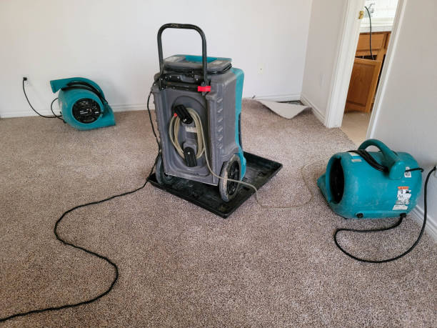 Best Water damage restoration near me  in Ashland, NJ