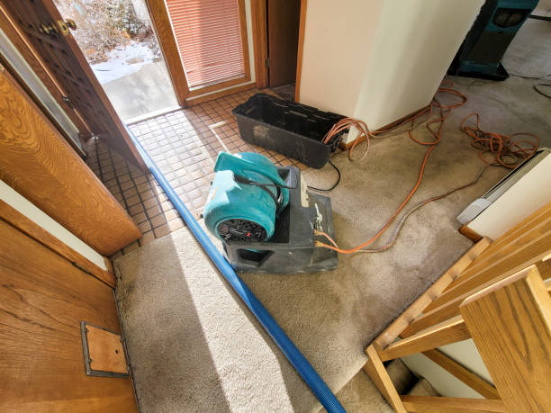 Best Water damage restoration mold remediation  in Ashland, NJ