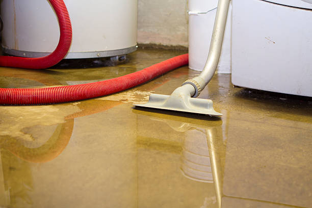 Best Emergency water damage restoration  in Ashland, NJ