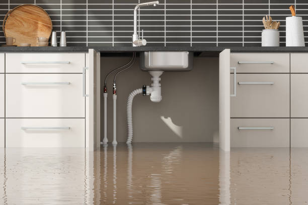 Best Flood restoration services  in Ashland, NJ